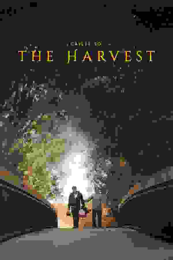 Размытый фон новости