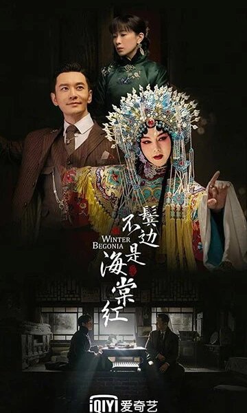 Зимняя бегония